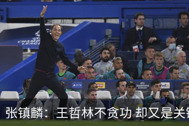 张镇麟：王哲林不贪功 却又是关键时刻能站出来的人 队长当之无愧